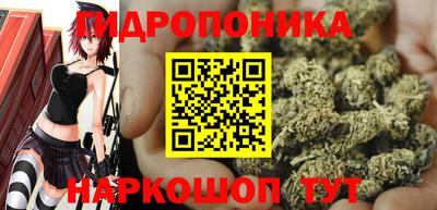ALPHA PVP Тверь